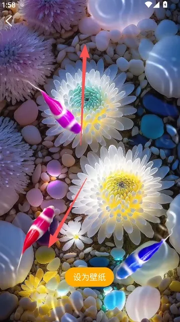 ��������ֽ2026�ٷ�����