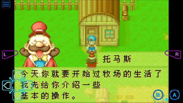 ���������ʯ��Ļ����2013������(������Ӫ��Ϸ)��ͼ2