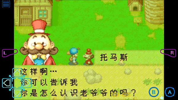 ���������ʯ��Ļ����2013������(������Ӫ��Ϸ)��ͼ0