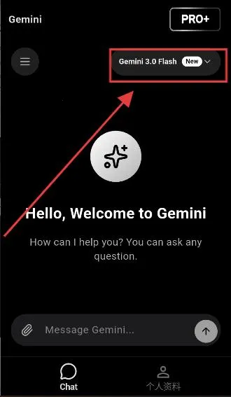 GeminiPro2026�ٷ����°汾