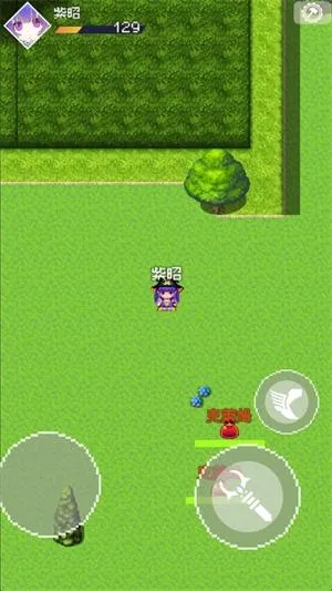 ��������2026���°汾