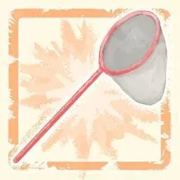 ����С��ú̿��С��2026�ٷ�����