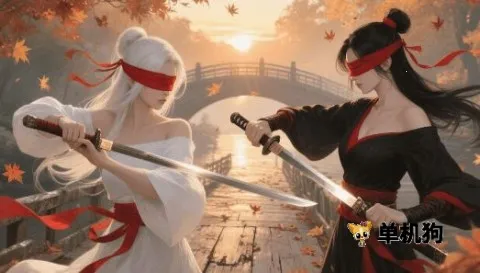 ����ս��(������ɫ��������)