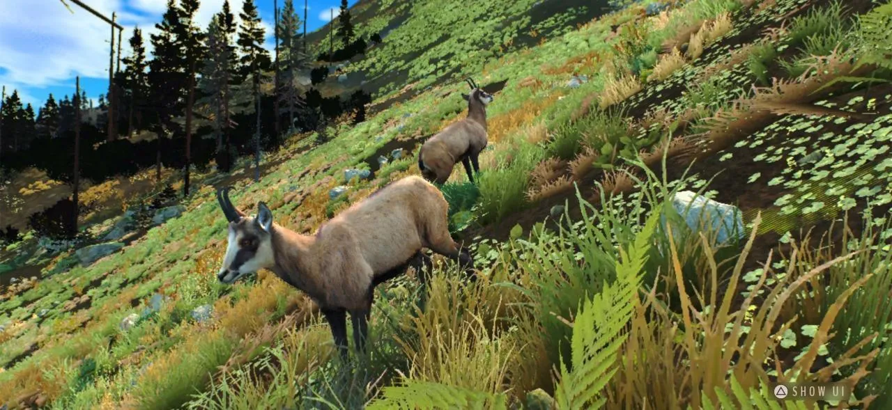 ����֮·��Ұŷ��(����ģ������)