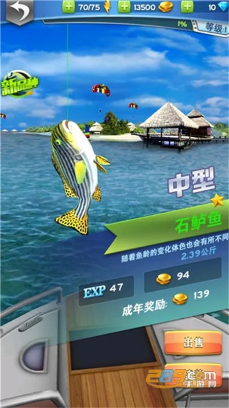 ȫ�����2026���ذ�װ