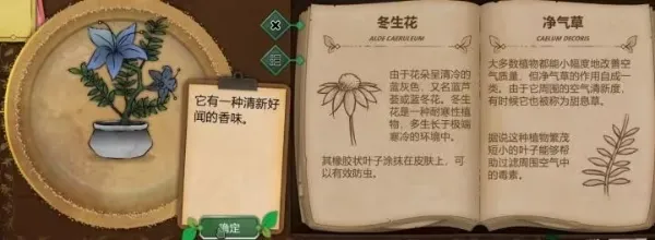 ����԰��(ֲ�������Ϸ)