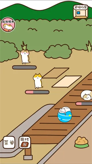 è����԰�����ֻ���