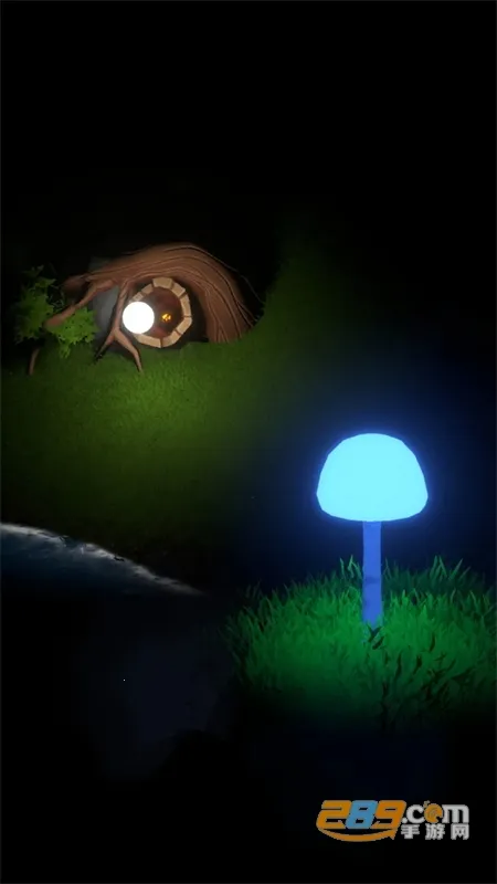 �����Ĺ���2026�ٷ�����