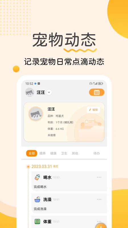 ����ǰ�׿���ֻ���