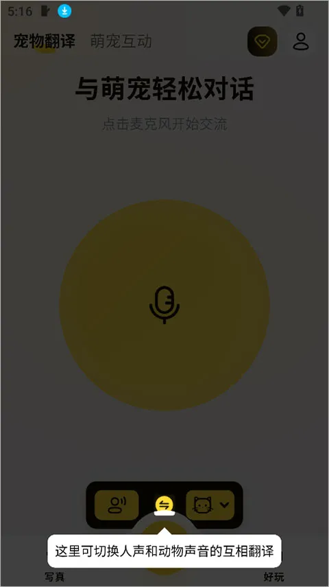 宠玩(宠物互动工具) 宠玩(宠物互动工具)