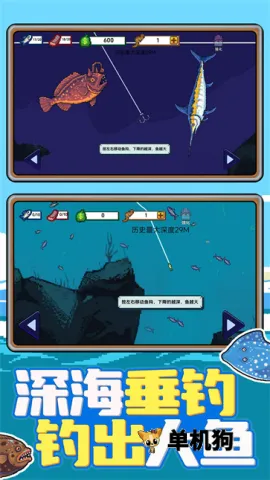 �Ϻ�С���2026���°汾