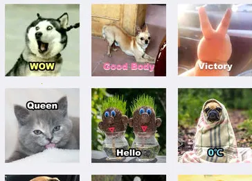 ���Ʊ����(�������������)