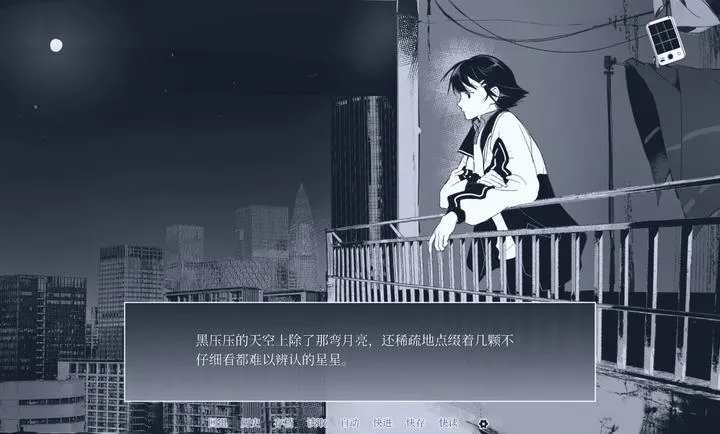 ��ά�����ֻ����ͼ2