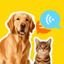 �ȳ�è����ѷ���(���ﻥ��Ӧ��)