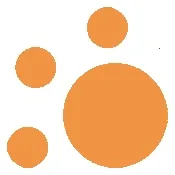 �����þ�2026���°汾