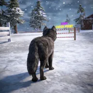 ��ģ���� 3D2026���ذ�װv1.0.6 �ֻ���