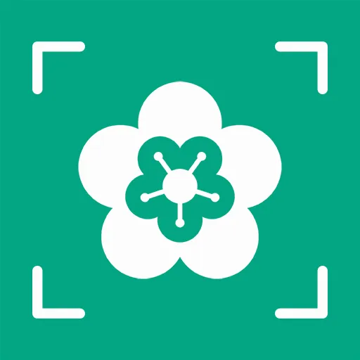 AI����ʶ��v1.0.0 �ٷ�����