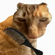 ��è��ëv1.0 ��Ѱ�