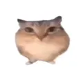 �ͰͲ�һ���谲׿�ֻ���v1.0 ��Ѱ�