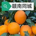 ����ͬ��