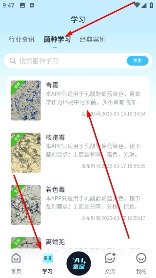 慧眼识菌 慧眼识菌