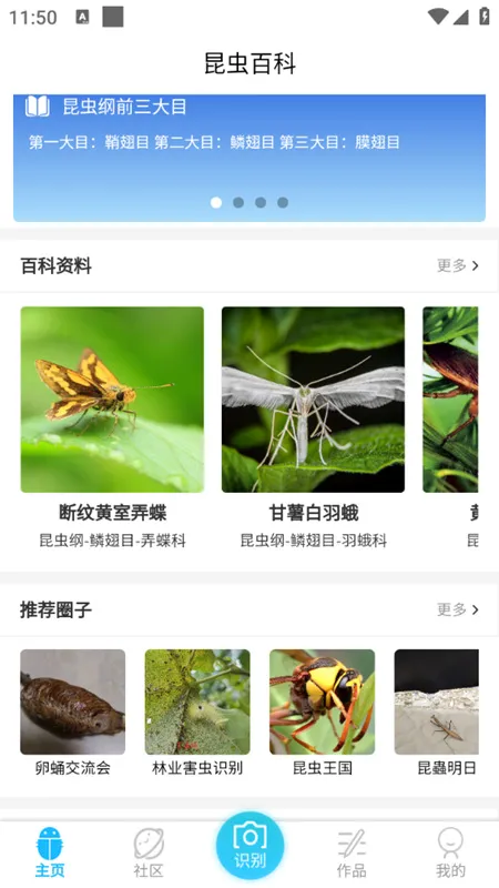 昆虫百科2026官方正版 昆虫百科2026官方正版