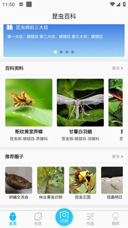 昆虫百科2026官方正版 昆虫百科2026官方正版