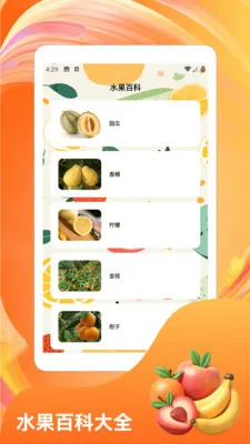 �콵˶����ͼ4