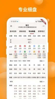 辰时八字排盘截图2