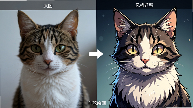 主体:展示两张并排图片,左边是原始照片(一只猫),右边是经过风格迁移后的动漫风格猫。布局:左右对比,中间有箭头。排版:简洁专业。风格:高对比度。细节:右边图片细节丰富,毛发清晰。画质:高清。文字:上方小字“原图”和“风格迁移”,底部有“羊驼绘画”字样。