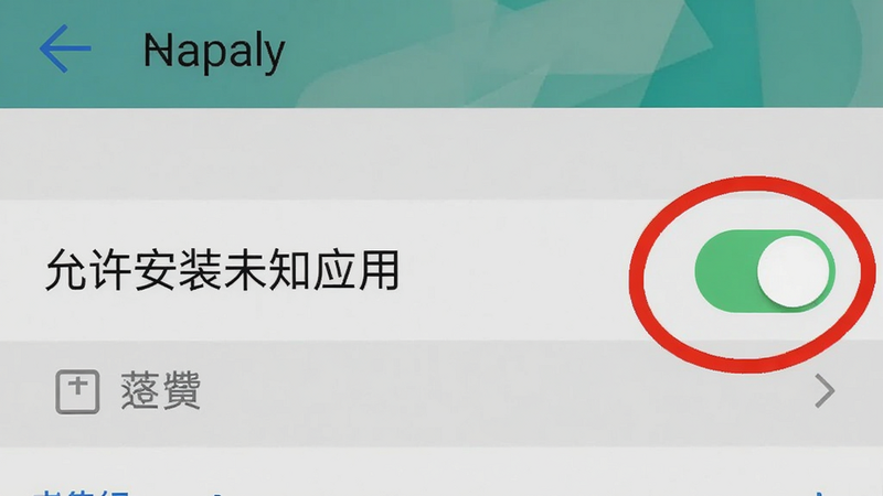 手机设置界面截图,显示“允许安装未知应用”开关被打开,红色圆圈标记,背景为系统设置样式,画质清晰,无多余文字