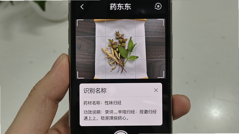 药东东药材识别功能界面,主体为手机屏幕显示拍照取景框,布局居中,顶部有