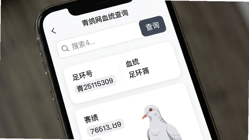 青鸽网血统查询界面,手机竖屏展示,上方为搜索输入框带“查询”按钮,下方为结果卡片,包含“足环号”、“血统”、“赛绩”等字段,背景白色,字体深灰,布局简洁,卡片圆角,现代UI风格,画质高清干净