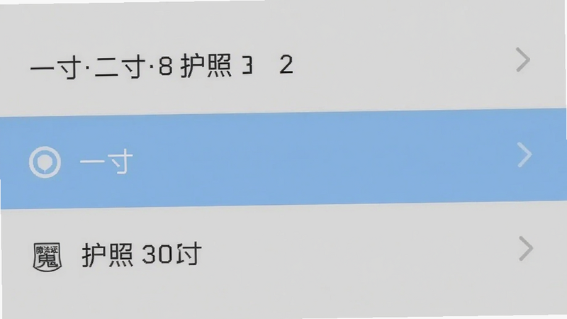 手机屏幕截图,显示魔法证件照的规格选择列表,包括一寸、二寸、护照等选项,背景为浅灰色,列表布局整齐,有选中高亮,画质干净。