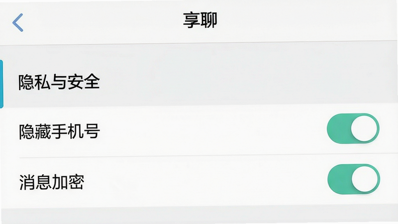 隐私设置界面:享聊的设置页面截图,突出“隐私与安全”选项,显示“隐藏手机号”、“消息加密”等开关,背景为浅色,文字清晰,简约设计,画质高清