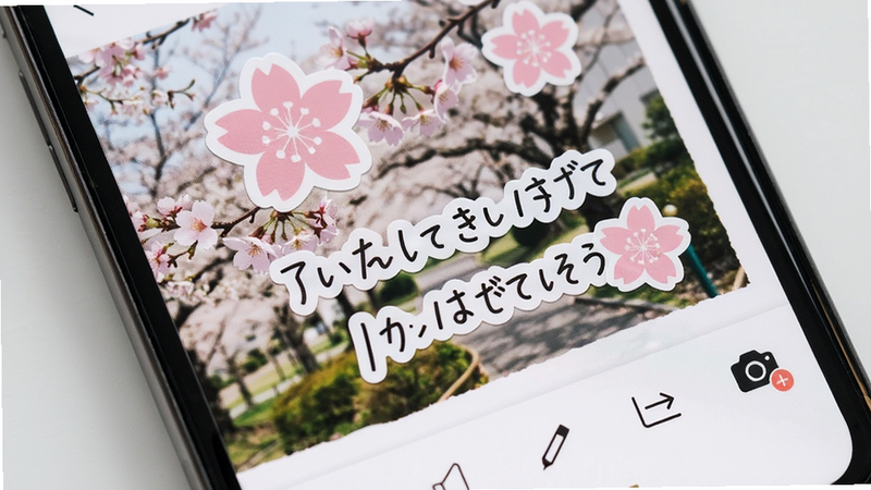 日杂相机文字贴纸功能演示,手机屏幕上一张照片上叠加了粉色樱花贴纸和手写风格日文短语,底部有编辑工具栏,界面布局清爽,风格可爱清新,画质干净,细节丰富