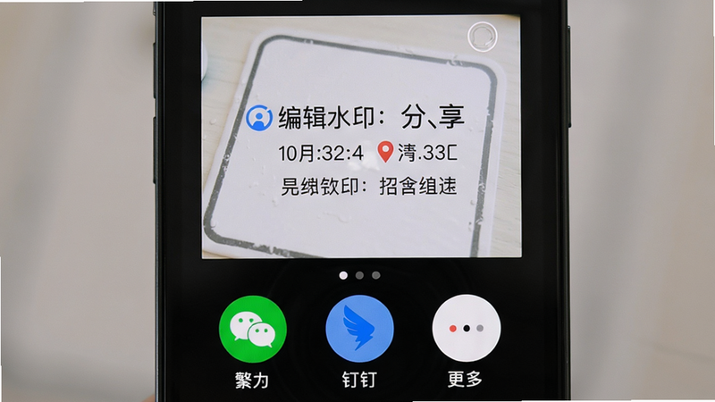 一张手机界面,展示编辑水印打卡相机的分享页面,主体为一张已生成水印的照片预览,布局下方有微信、钉钉、更多等圆形图标按钮,排版整齐,风格清新,细节包括水印中的时间和地点文字清晰可见,画质纯净,背景柔和。