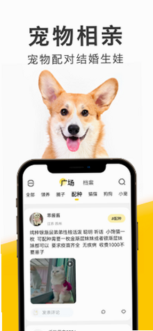 有只宠物 操作说明 安卓版