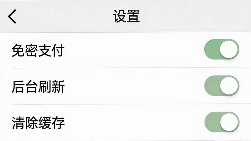 一张手机截图显示抱抱堂APP的“设置”页面,包含“免密支付”“后台刷新”“清除缓存”等选项,每个选项旁有开关按钮,页面背景白色,文字黑色,画质干净
