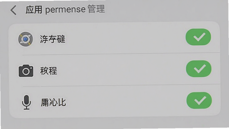 手机设置界面显示应用权限管理,已勾选了存储、相机、麦克风三项权限,背景为系统设置样式,画质清晰,干净无多余元素