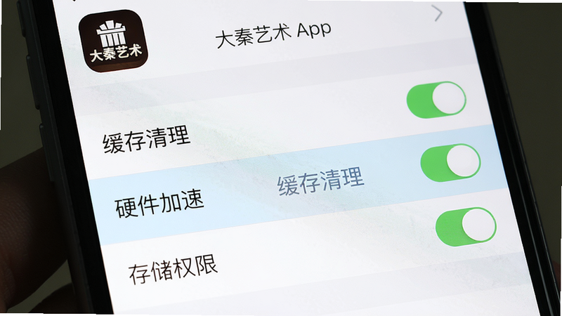 画面主体为手机屏幕显示大秦艺术App的设置页面,布局为列表形式,包含“缓存清理”、“硬件加速”、“存储权限”等开关选项。风格为系统原生风格,细节:屏幕上“缓存清理”按钮被高亮,背景为白色,上方有“大秦艺术”应用图标,画质清晰,无多余元素。