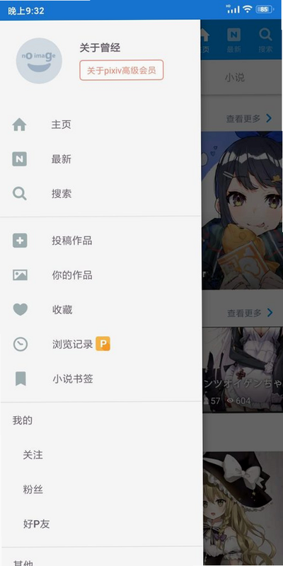 PixEz 安卓版 常见问题