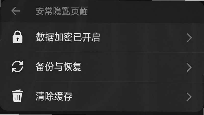 拾常设置页面的安全与隐私区域截图,手机屏幕显示“数据加密已开启”、“备份与恢复”、“清除缓存”等选项,背景深灰色,文字白色,图标简洁,画质锐利,无多余元素。