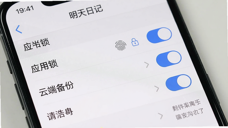 主体:手机屏幕显示