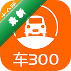 ��300���ֳ�5.6.1.03 ���ֳ����۲�ѯ