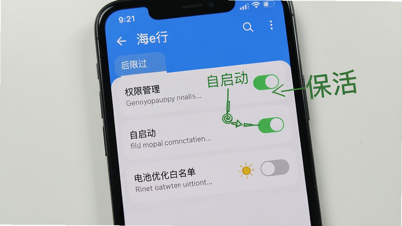 海e行在手机后台运行的设置界面,显示权限管理、自启动开关、电池优化白名单,截图风格清晰,标注“自启动”和“保活”文字,画质干净,无多余元素