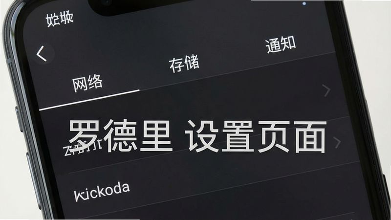 手机截图展示罗德里设置界面,顶部导航栏有“网络”、“存储”、“通知”等选项,背景深灰色,文字白色,布局清晰,画质干净,标注“罗德里 设置页面”