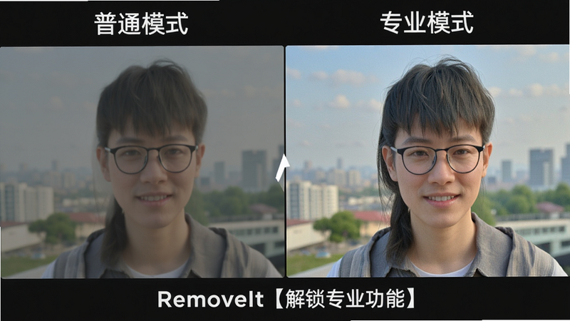 一张展示输出质量的截图,左侧标注“普通模式”,右侧标注“专业模式”,专业模式下的图片细节更丰富,画质更高,文字“RemoveIt【解锁专业功能】”显示在图片底部,风格对比明显,画质高清。