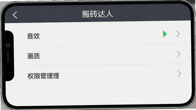 一张手机截图显示游戏设置界面,主体是“搬砖达人”设置菜单,包括音效、画质、权限管理等选项,布局清晰,文字可辨认,风格简约,画质干净。