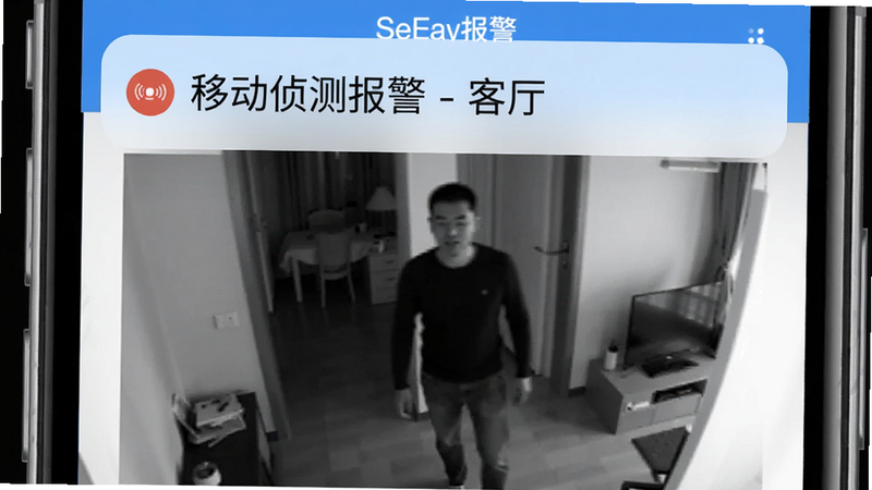 见正文插图:SeeEasy报警通知界面,手机顶部弹出横幅通知,内容为“移动侦测报警 - 客厅”,下方显示一张黑白抓拍图片,图片中有一个模糊人影,整体风格简洁,重点突出报警信息,画质干净